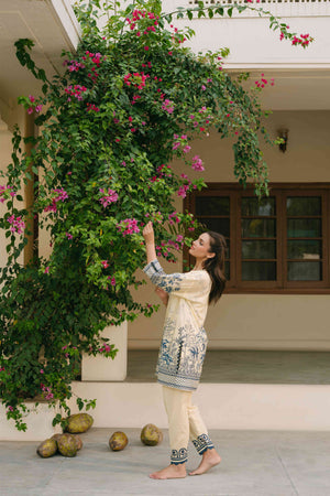Rose Cascade